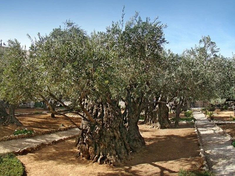 Gethsemane- He Gets&nbsp;Us